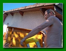 cliquez pour agrandir